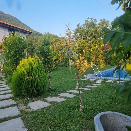 Vila Elektra Tirana